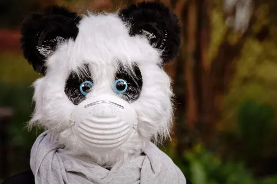 Kasyno Eight Storm Wsparcie